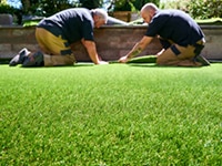 Garden Pruning in Edinburgh